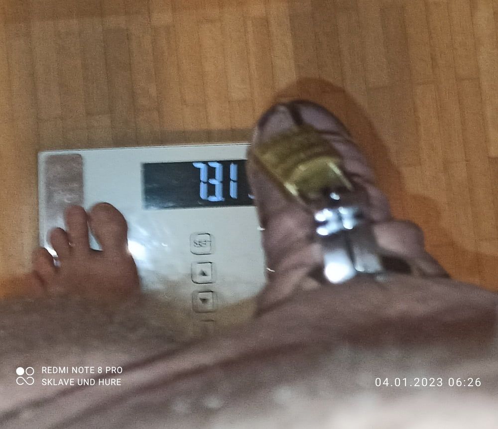 mandatory weighing and cagecheck of 04.01.2024 #13
