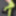 Green Mesh Lingerie #40
