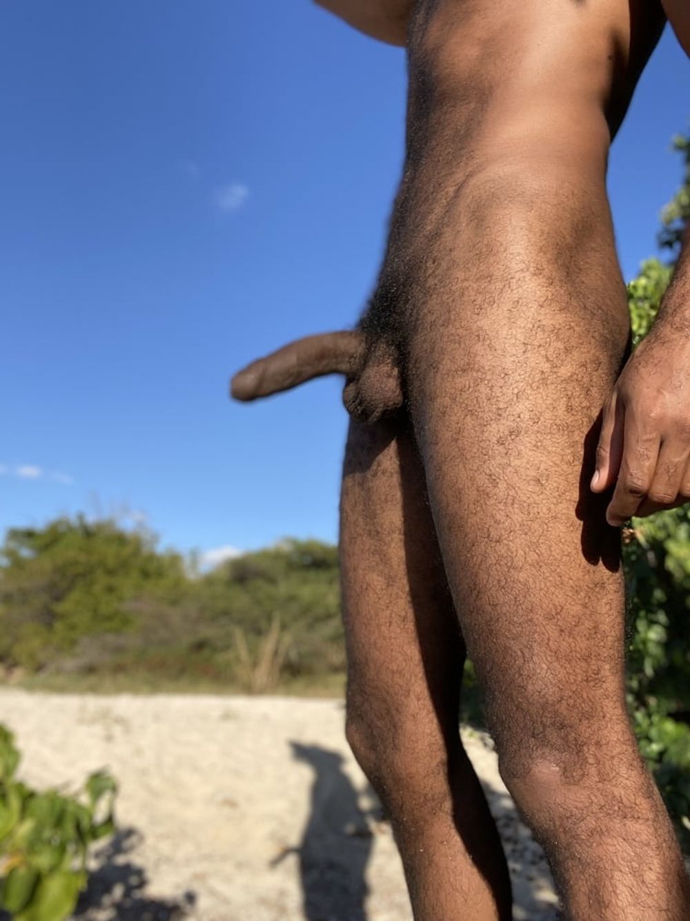 Hairy Beach Dick 