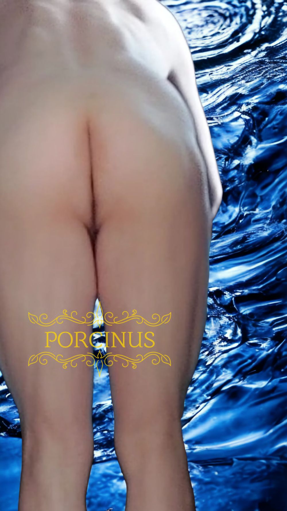 Porcinus master of water #20