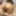 Masked Kitty Blue Kitten BBW Housewife Lingerie Shoot