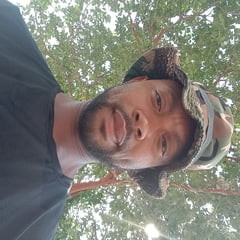 Sunny day