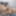 Completamente desnudo  #12