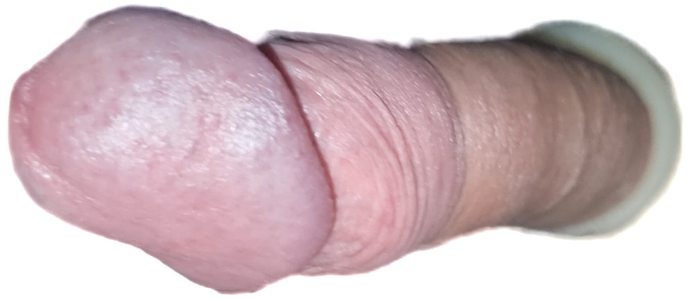 Steifen Schwanz wichsen Skorpion75k #5