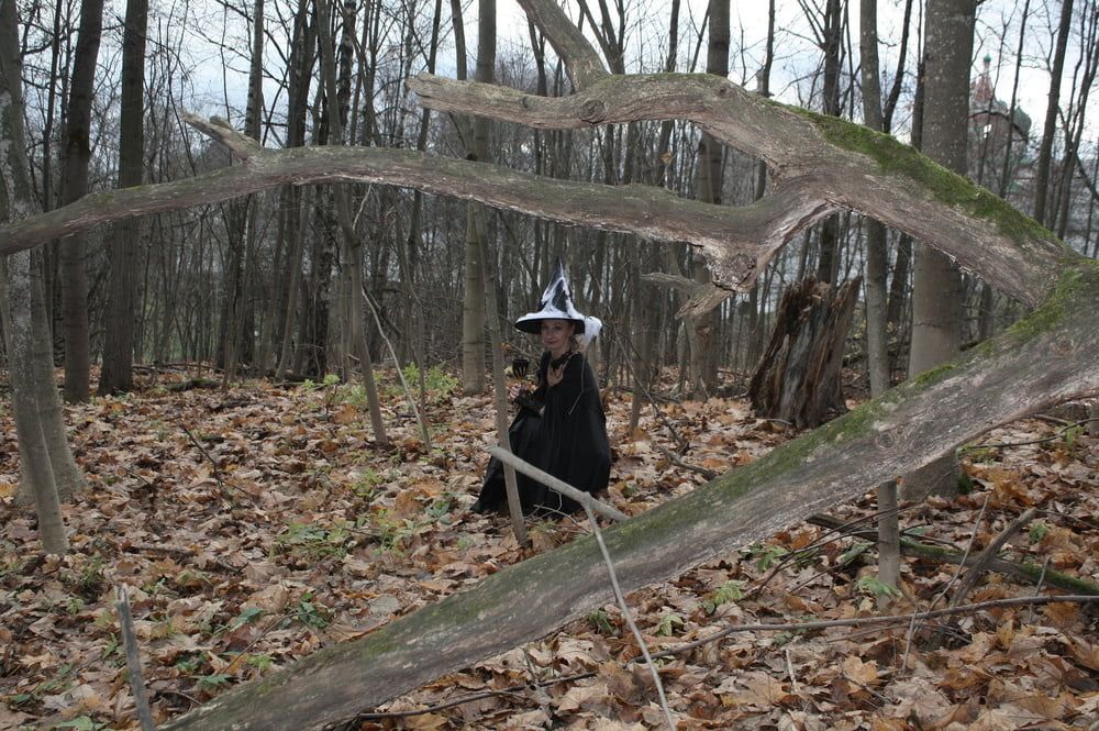 Witch with broom in forest #3