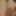 some new stuff for you guys #14