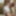 Yui Kisaragi :: Alternated BJ And Insert 2 - CARIBBEANCOM #14
