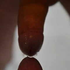 My cock