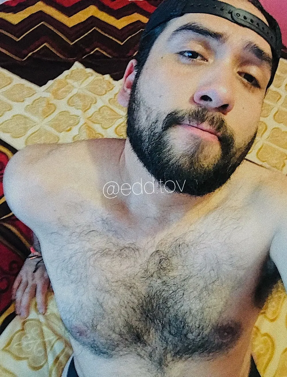 Hello! I&#039;m a hairy bear gay man. #2