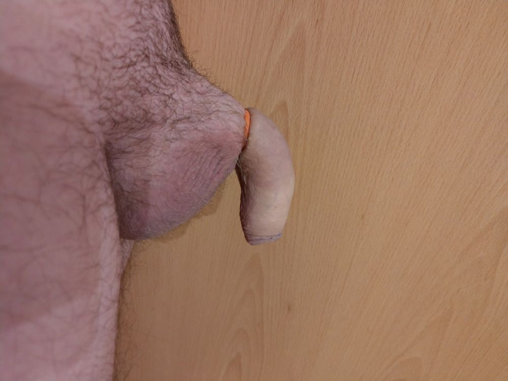 Flaccid cock banded #16