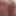 Gifs