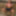 DeluxeDivas.com - Live Chat - Monika #24