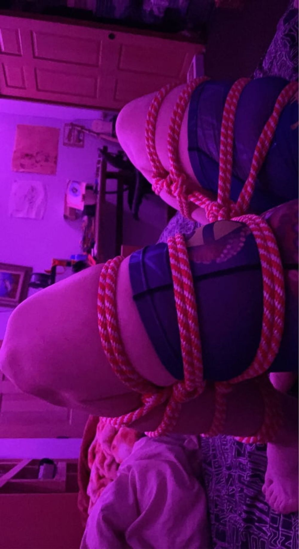 Tied tranny &lt;3