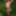 Naked in nature