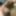 My wife nude photo sex mode