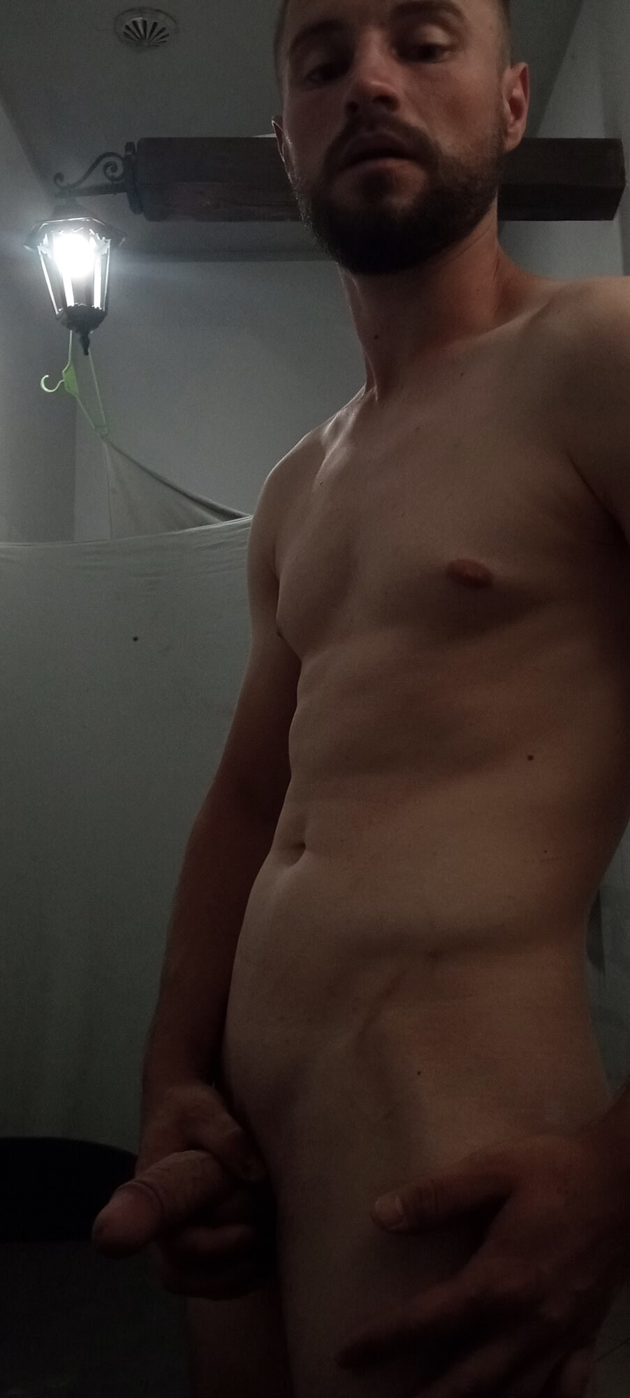 Penis