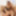 Lola ebony bbw fucked by black cock for creampie #36
