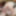 Petite slut Gianna is sucking dick