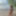 Agnes Free Photos