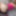 Anal gifs
