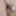 April 27th Daily duty of the naked slave #2