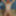 Faggot Andrew Brown...Totally Nude, Totally Exposed