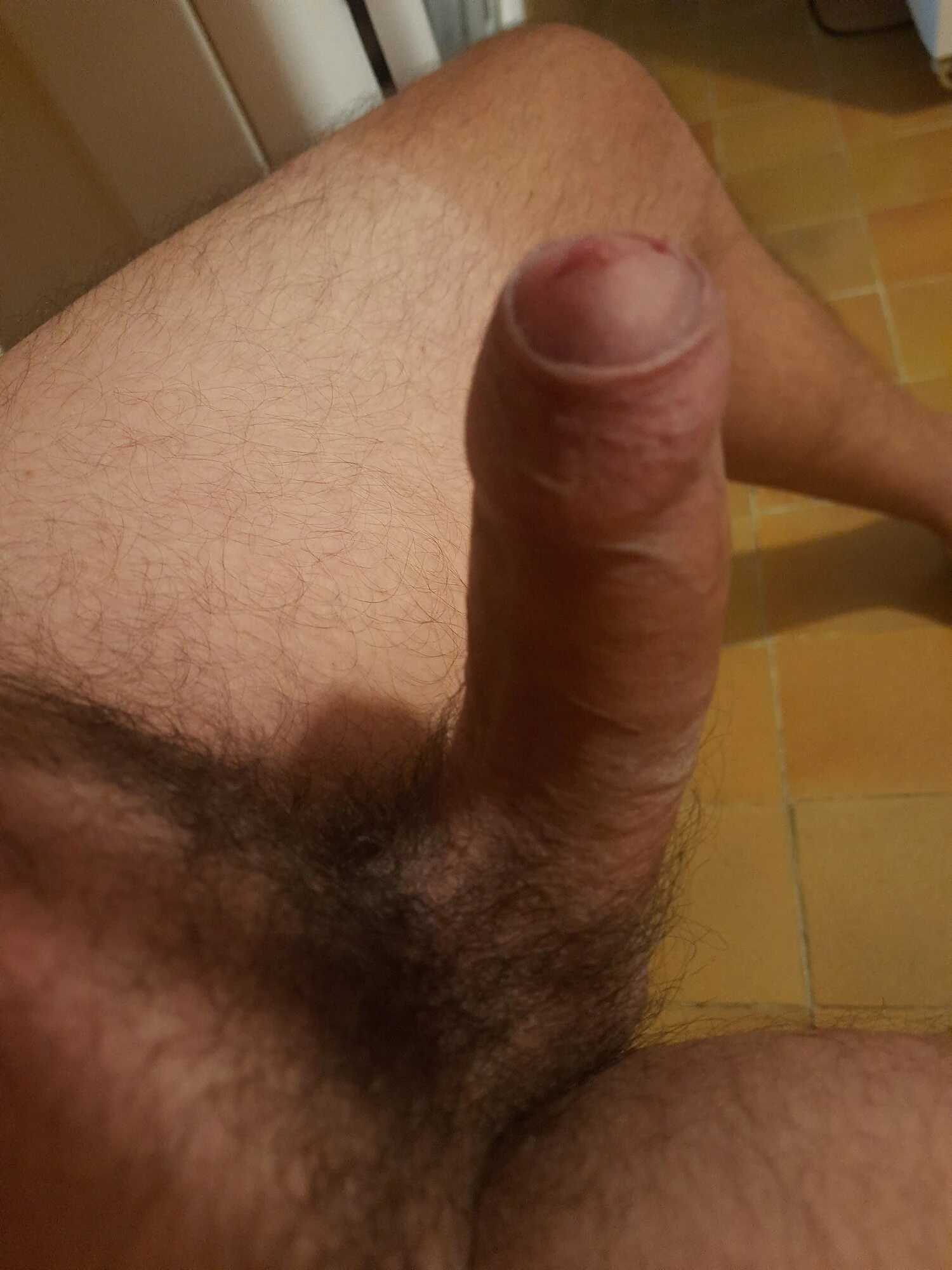 积极的氛围和禁枪 第2部分