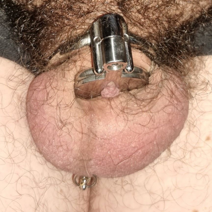 MY NEW CHASTITY CAGE #8