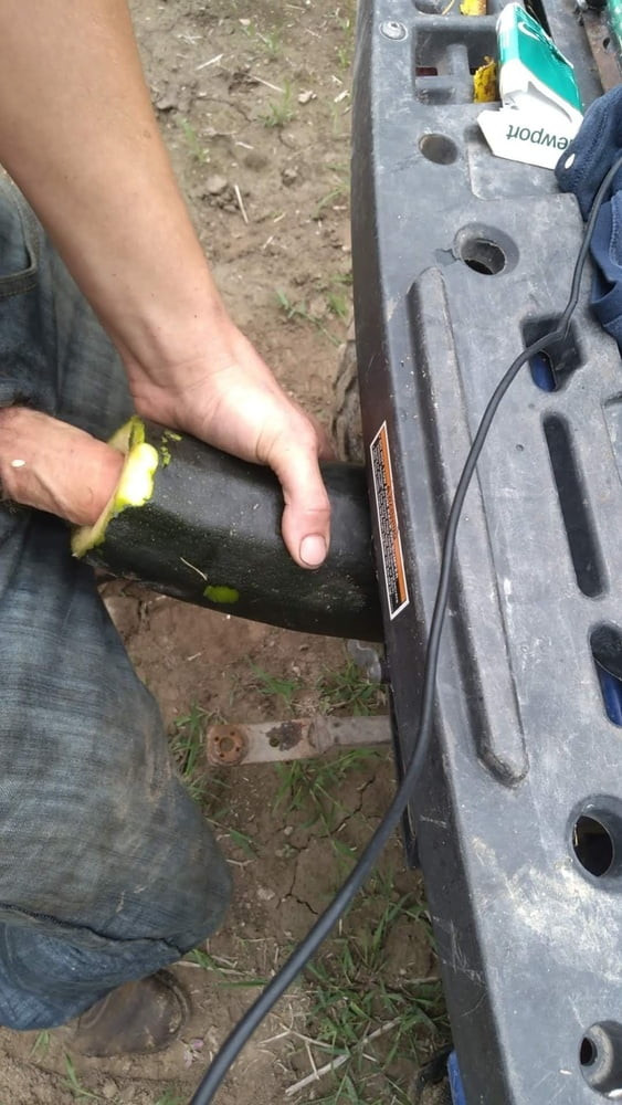Pictures of a bwc fucking a zucchini;)