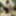 ARADIA Free Photos #14