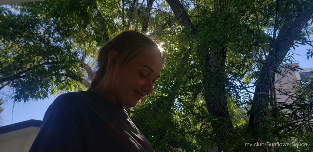 🌻 Sunflower.Sauce  Free Photos #18