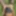 Naked girl in forest 