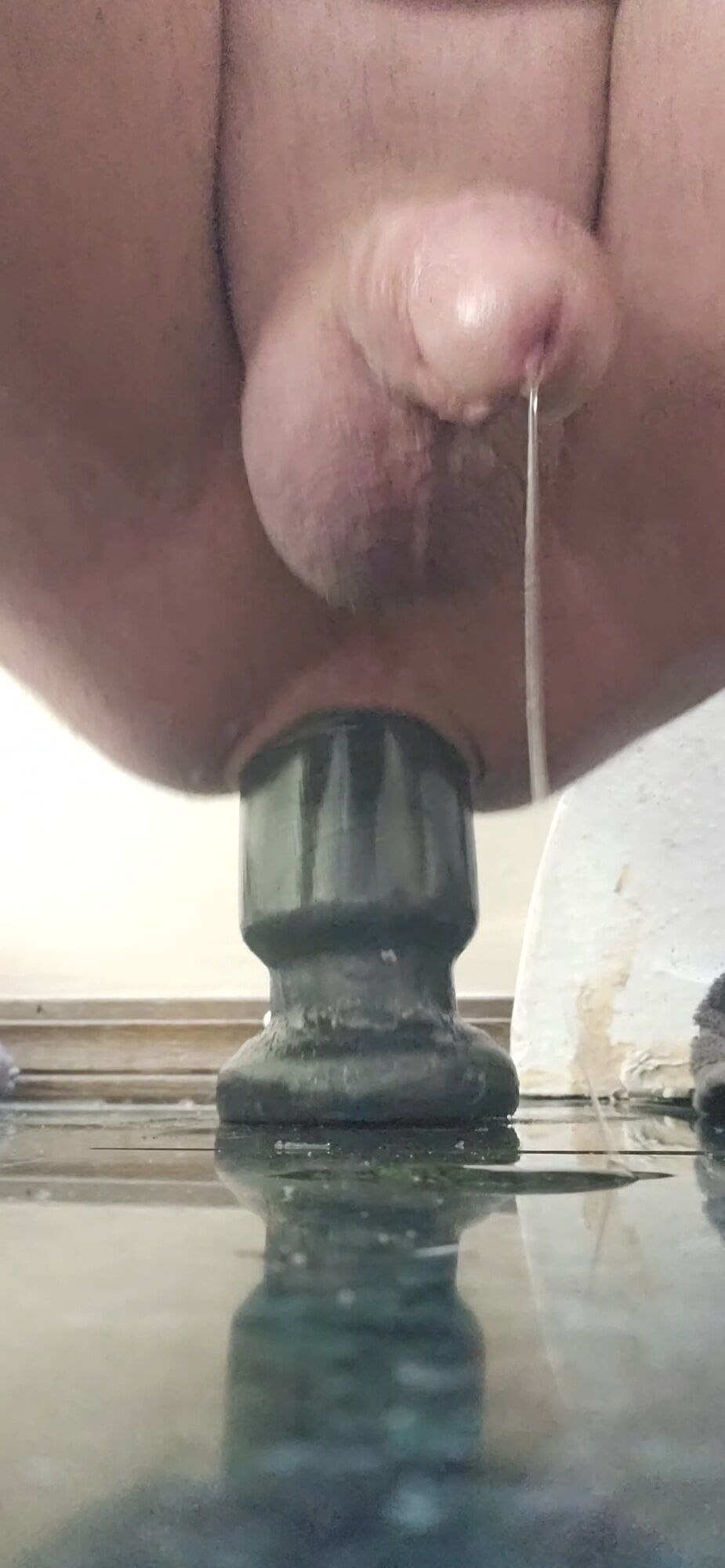 Presume dripping cock huge anal plug