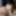 Cute coed Sophia blows a geek