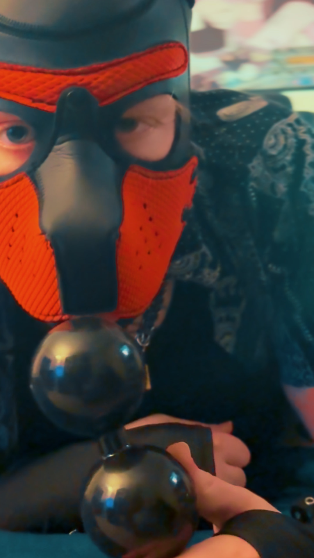 S1UTTRANSPUP - BRATTY PUP Taunts you while wrecking their as #10