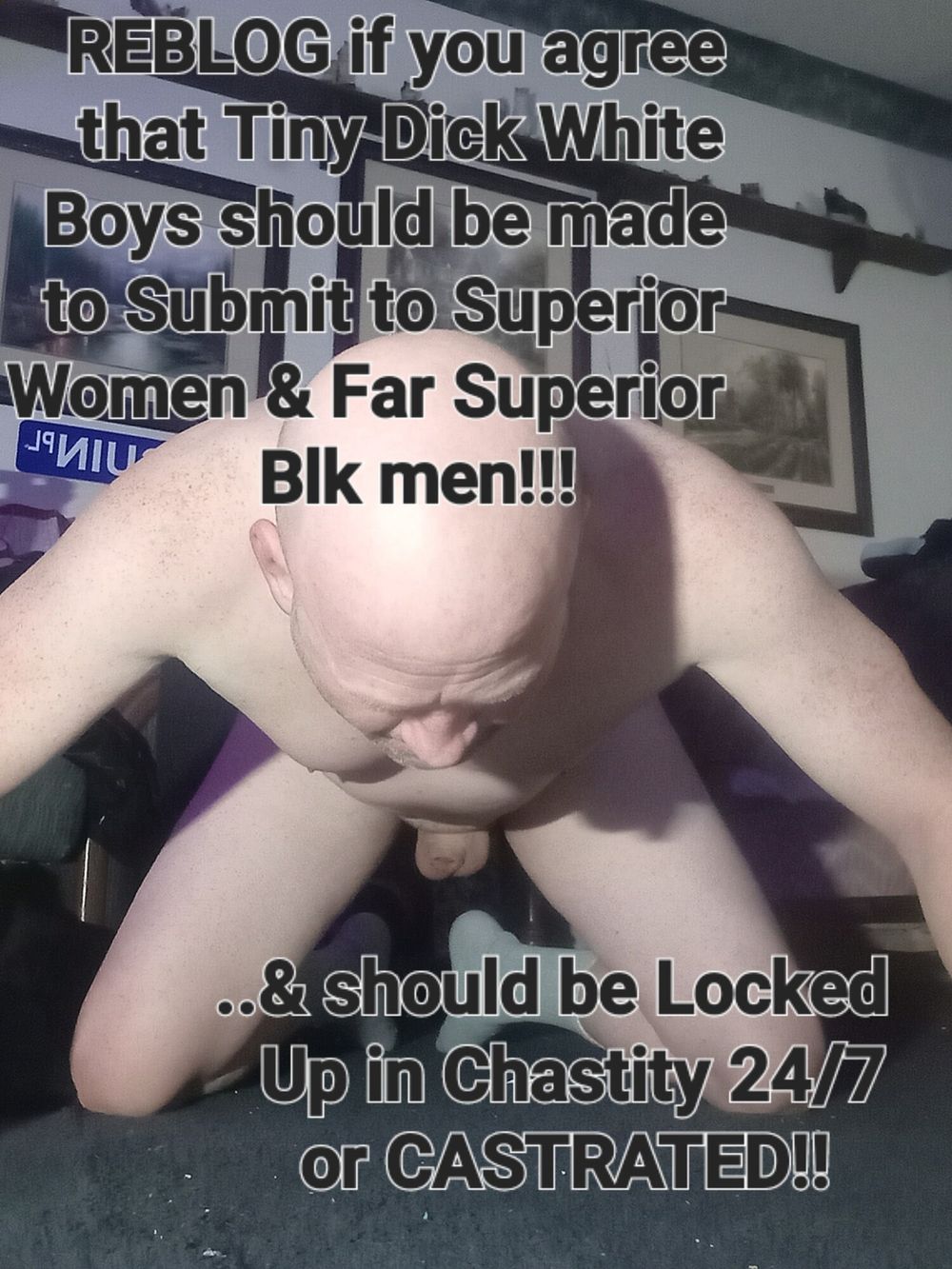 Cuck Sissy Humiliation #7