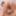 Rena :: The Story Of Luxury Spa Lady - CARIBBEANCOM