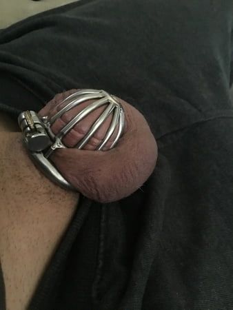 Tiny Caged Cock with Purple balls