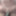 Daily duty of the naked slave April 2nd, 2024 #20