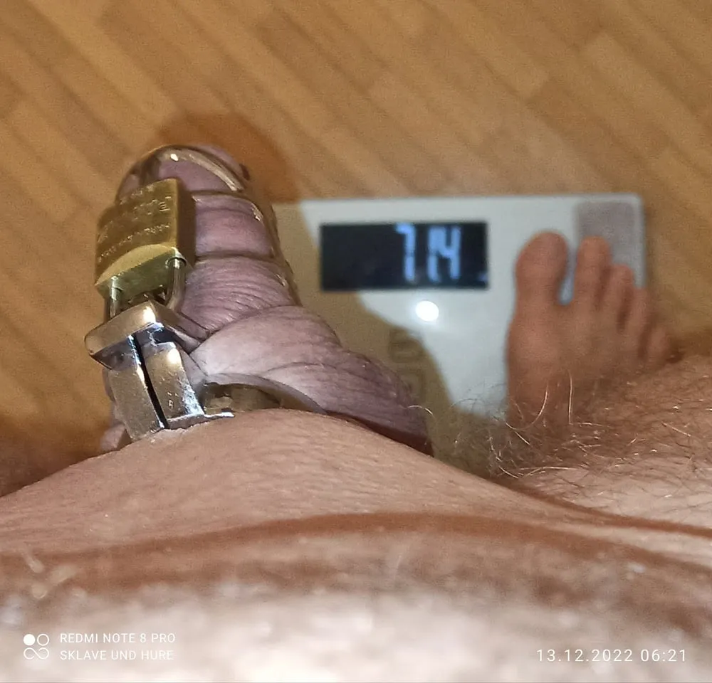 13.12.22 cagecheck and mandatory weighing  #2