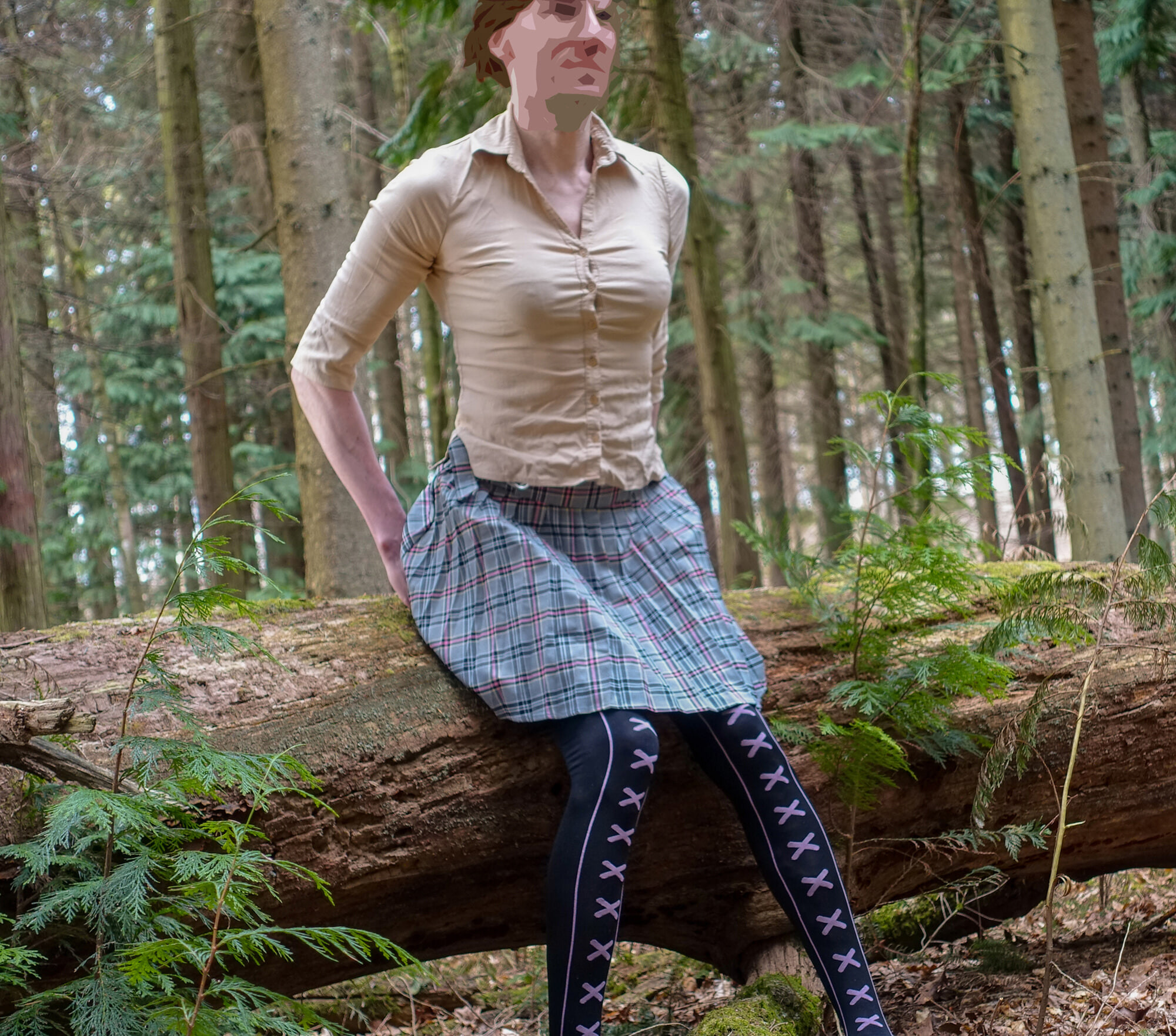 In the Woods