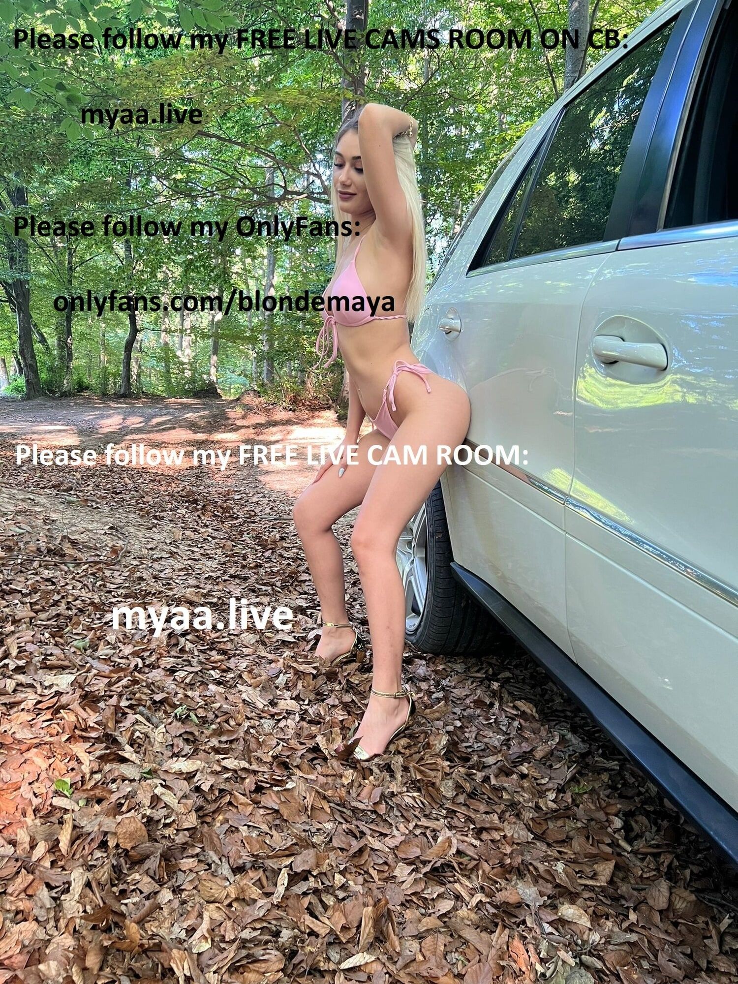 Outdoor pics, on my car and in my car spreading legs, in sex