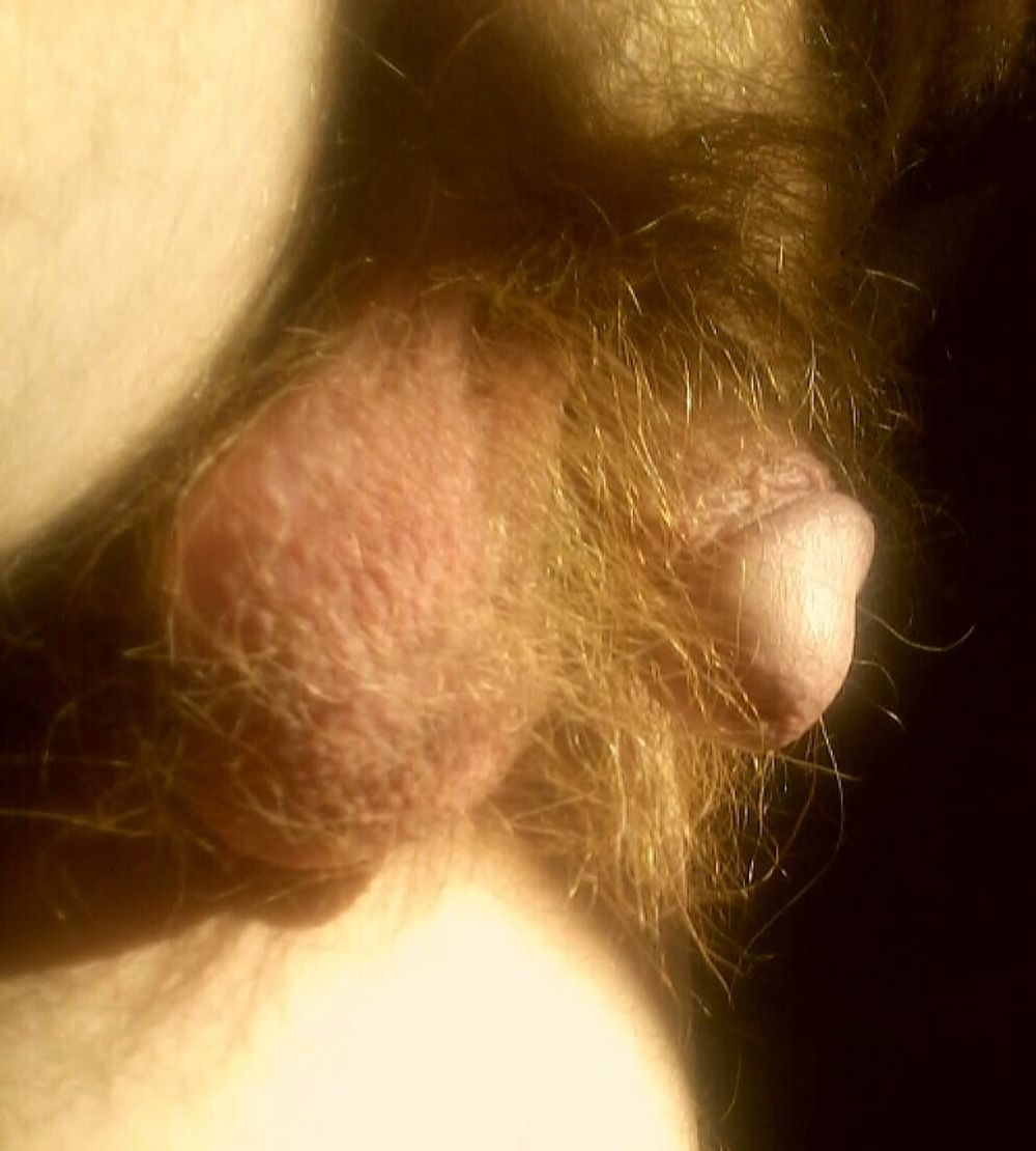 Dick closeups  #25