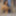 Mariza Fox   Free Photos