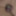 Oktober 5, 2024 Daily duty of the naked slave #5