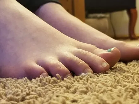 alicias winter soles           