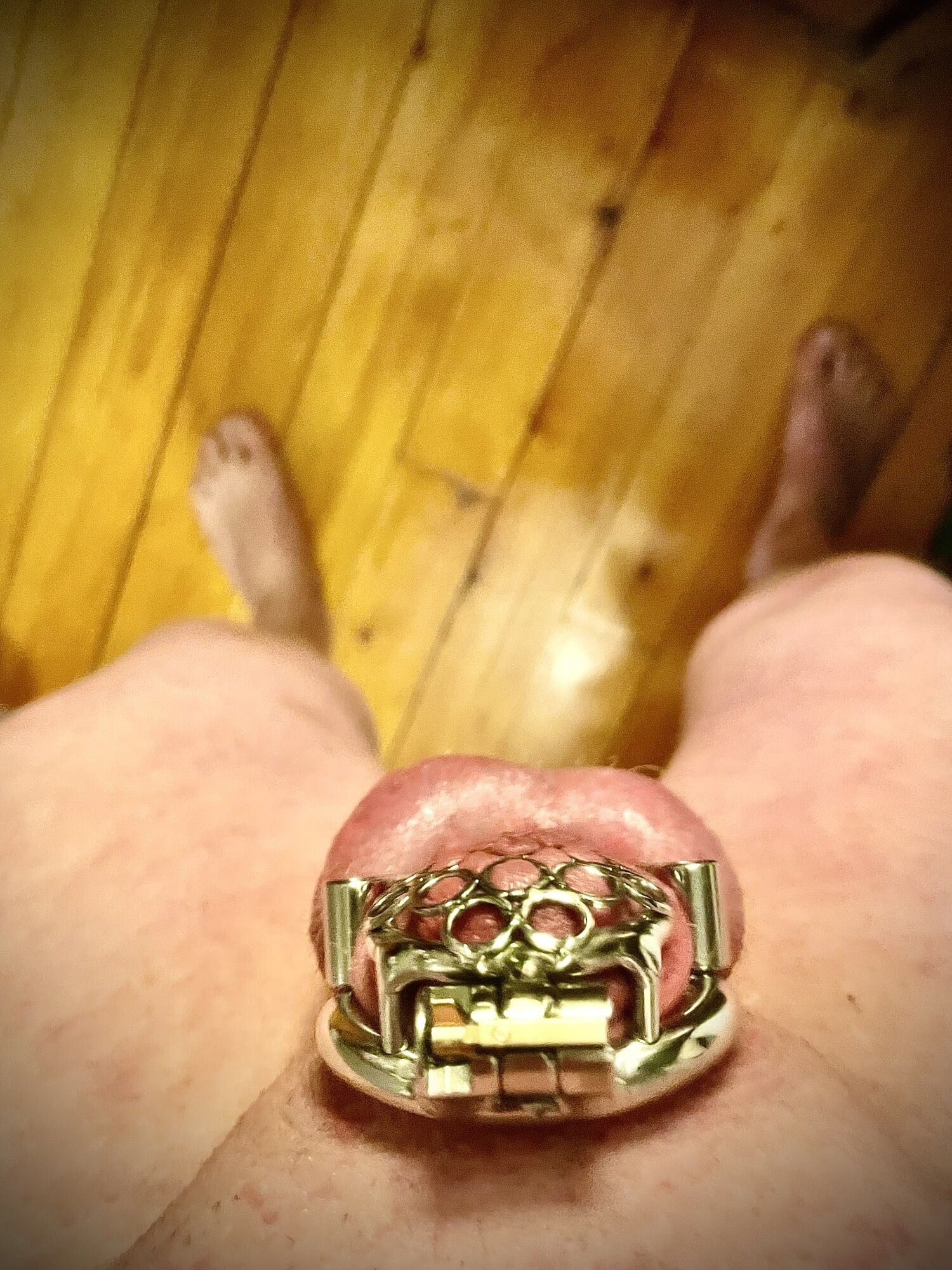 Me in chastity  #8