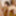 Ashida Manaka :: Pretty Small Tits Part 2 - CARIBBEANCOM #16