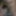My huge cum loads from all my content by gifs #17