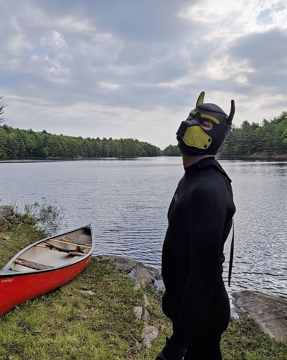 a pups back country camping trip